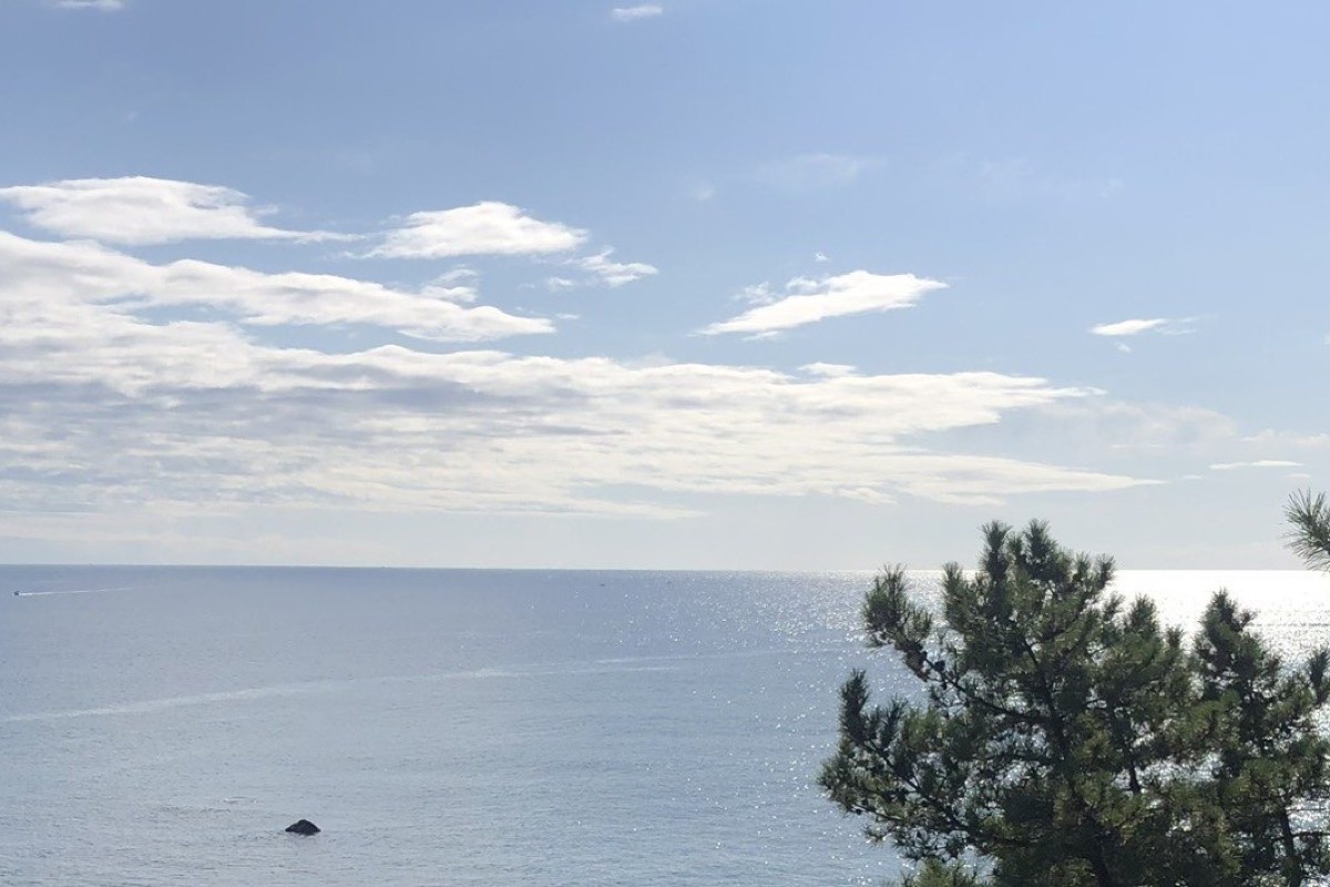 松の枝ごしに見える瀬戸内の海と青空