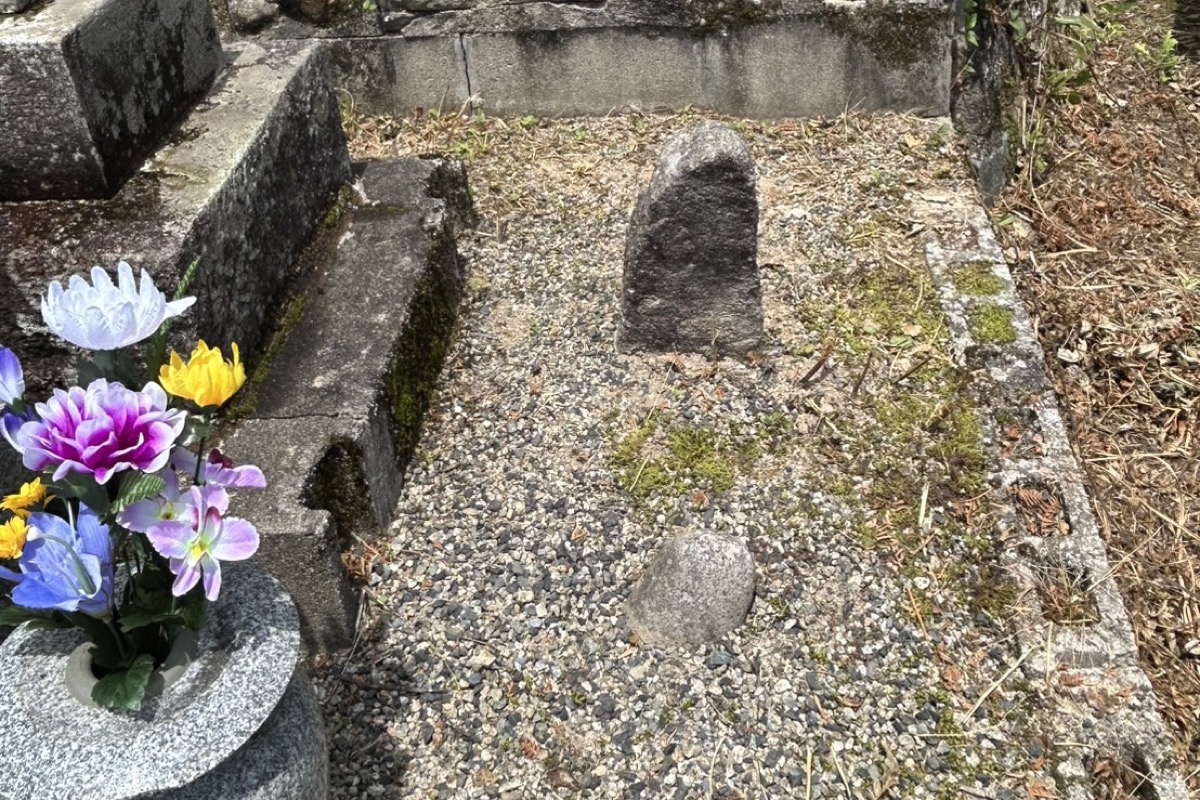 お墓の花立てに供えられた色とりどりのお花