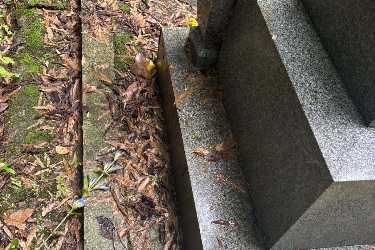 落ち葉のたまった墓石の足元