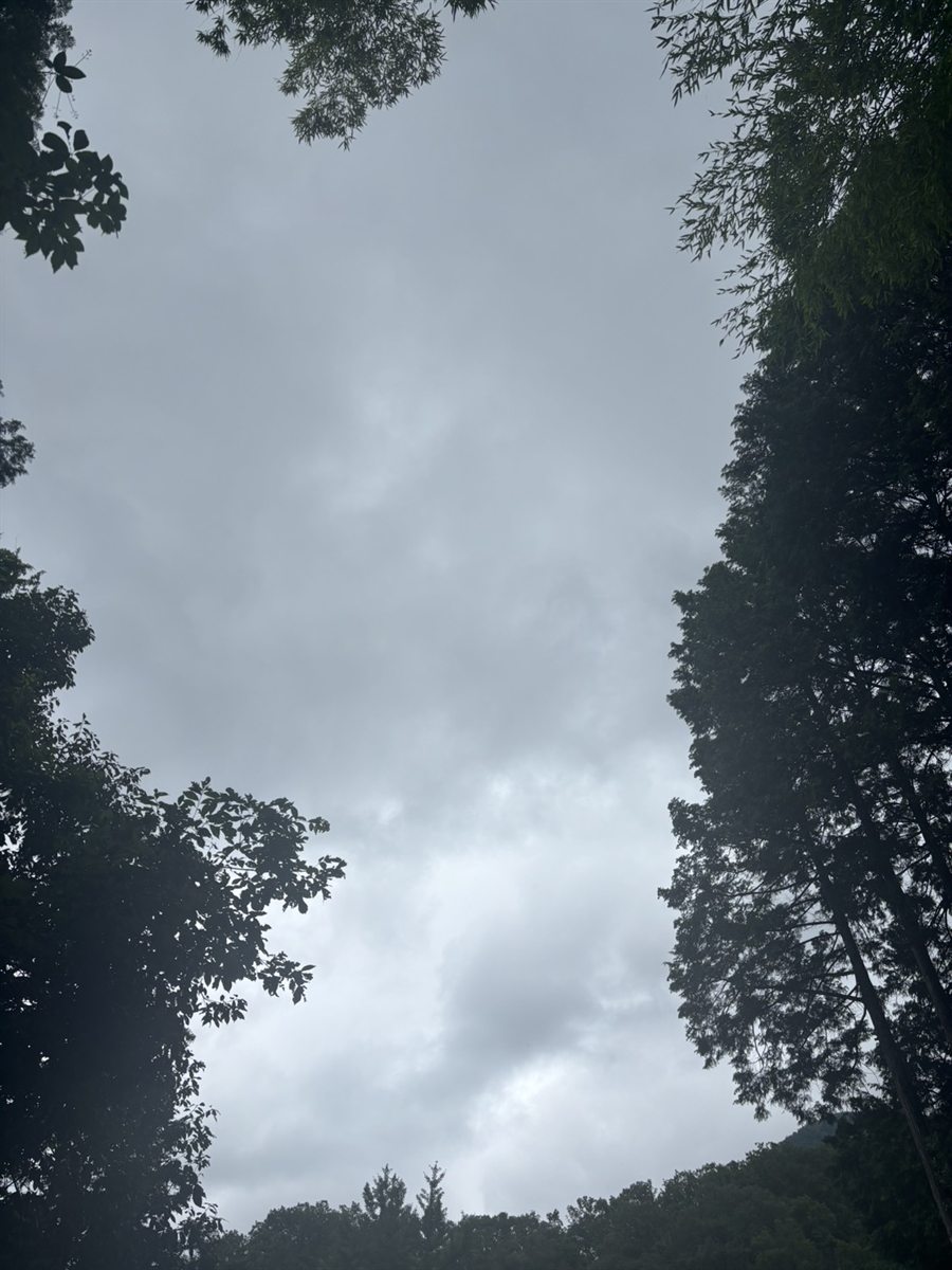 2026年7月5日に見上げた空