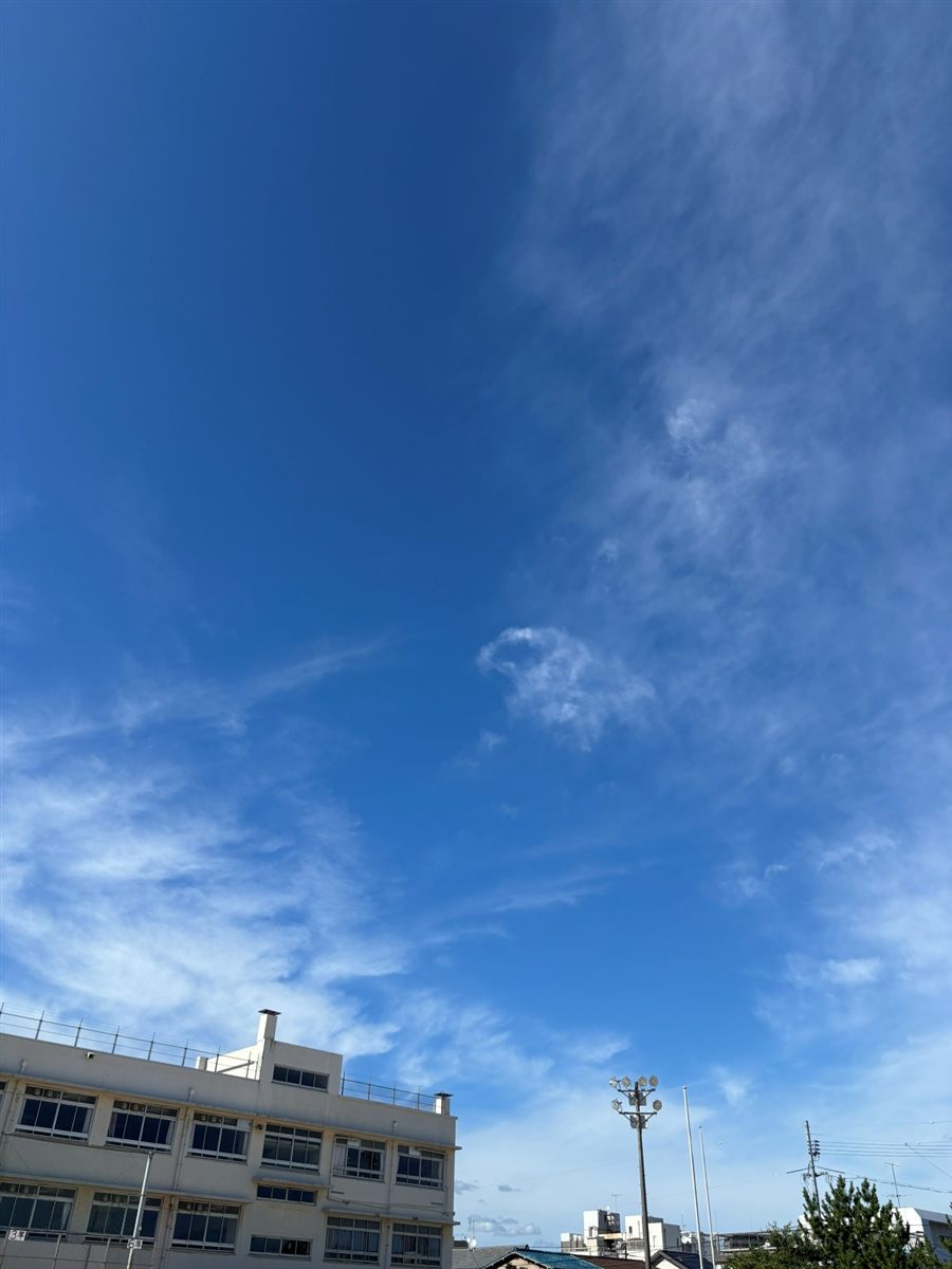2026年7月11日に見上げた空