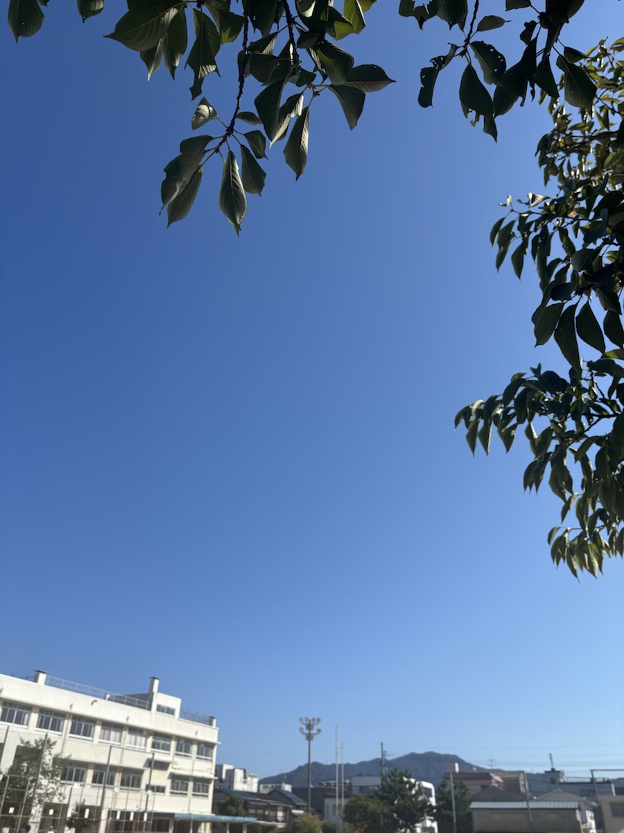 2026年9月23日に見上げた空